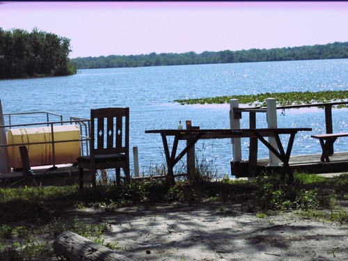 lake griffin