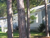 property listing